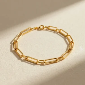 Zephyr Paperclip Chain Anklet